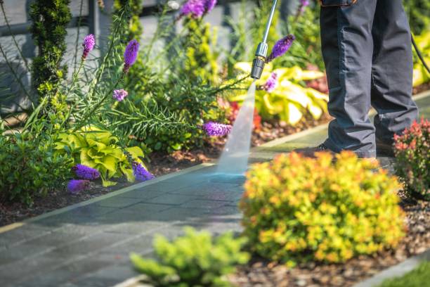 Trusted Waverly, MN Pressure Washing Services Experts