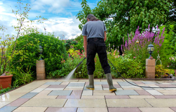 Animal Enclosure Cleaning in Waverly, MN